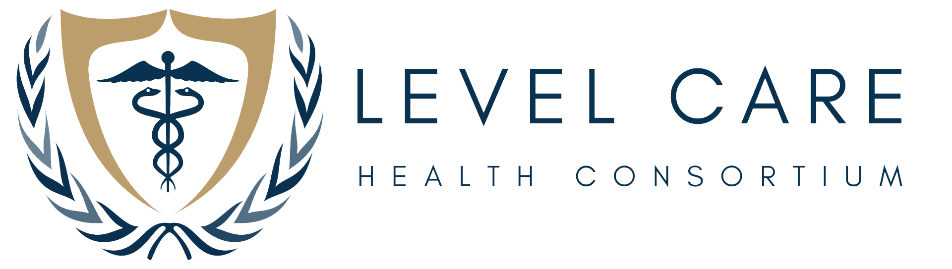 Level Care